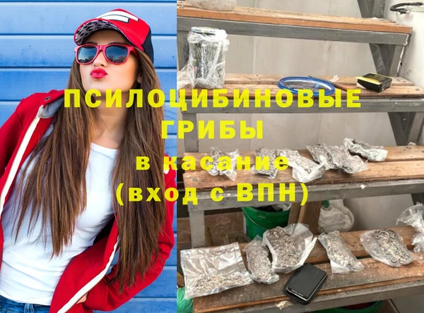 ГАЛЛЮЦИНОГЕННЫЕ ГРИБЫ Армянск